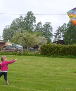 Alternative view of Tuulelohe