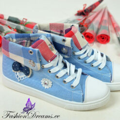 Teksamustriga ketsid