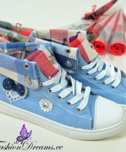 Teksamustriga ketsid