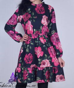 Alternative view of Kleit