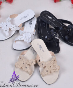 Lahtised kingad, plätud