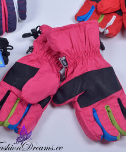 Alternative view of Suusakindad