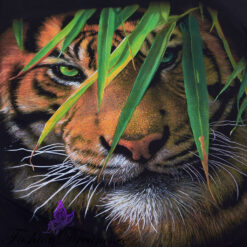 Alternative view of Helendav T-särk tiigriga (140-164)