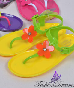 Alternative view of Plätud /rihmikud (30-35)