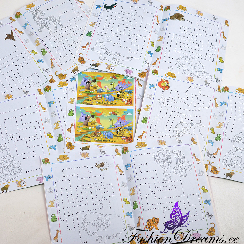 Värviraamat labürintide ja mõistatustega - Image 2