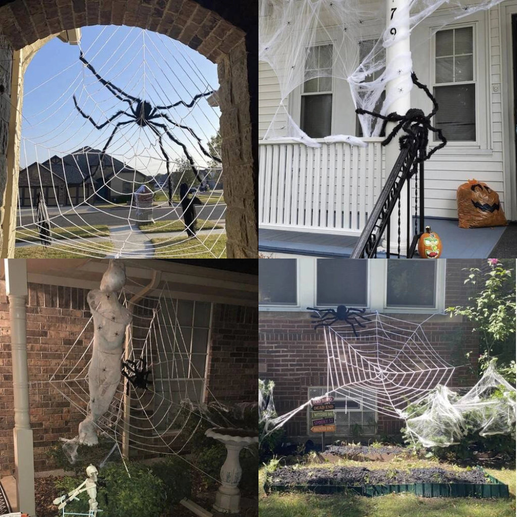 Suur karvane ämblik - Image 4