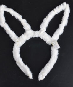 valgustusega janese korvad