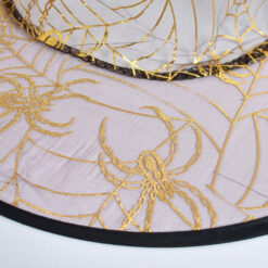 Alternative view of Nõia kübar