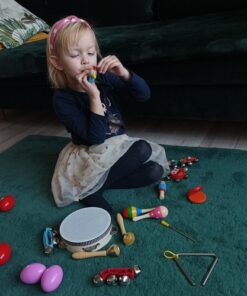 muusikainstrumentide komplekt lastele 3