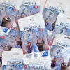 frozen 3d pusle 27tk