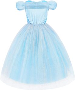 tuhkatriinu kostuum 2