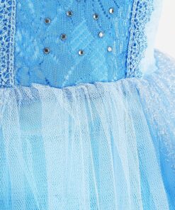 tuhkatriinu kostuum 4