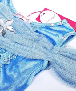 tuhkatriinu kostuum 8