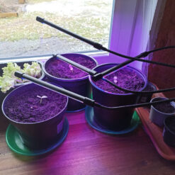 Alternative view of Taimelamp statiiviga