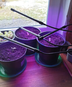 Alternative view of Taimelamp statiiviga