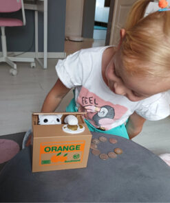 Alternative view of Interaktiivne rahakassa kassiga