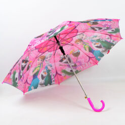 Laste vihmavari frozen