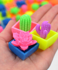 Alternative view of Kasvav mängu kaktus