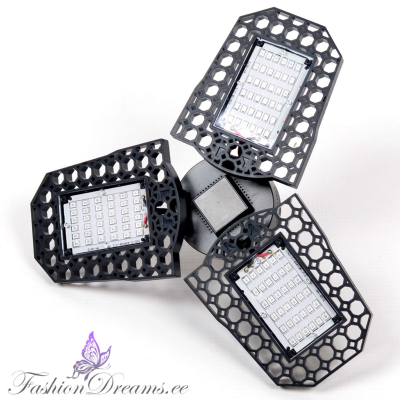 Taimelamp - Image 2