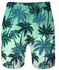 Alternative view of Meeste lühikesed püksid / ujumispüksid