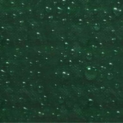 Alternative view of Kate aiakiigule