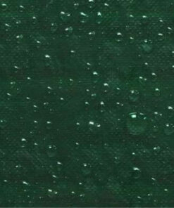 Alternative view of Kate aiakiigule