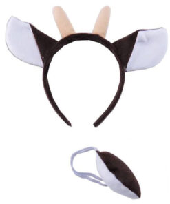 põhjapõdra kostüüm