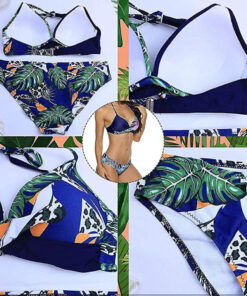 Alternative view of Bikiinid