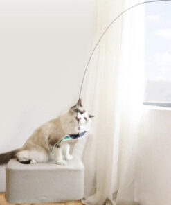 manguasi kassidele 2