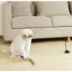 Alternative view of Mänguasi kassile