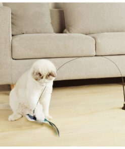 Alternative view of Mänguasi kassile