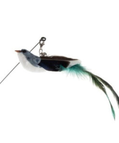 manguasi kassidele 4