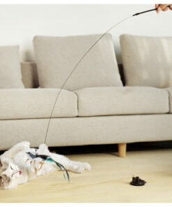 manguasi kassidele 5