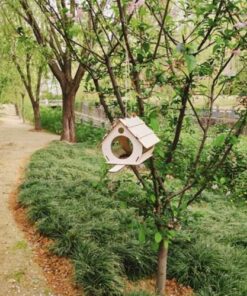 linnu soogimaja meisterdamise komplekt 5