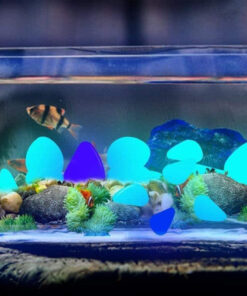 Helendavad kivikesed 12