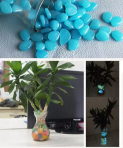 Helendavad kivikesed 13