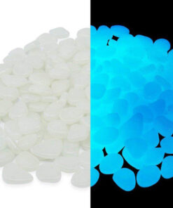 Helendavad kivikesed 3 1