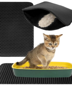 isepuhastuv matt kassi liivakasti alla