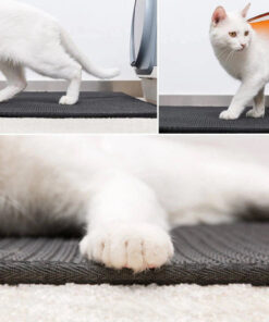 isepuhastuv matt kassi liivakasti alla 5