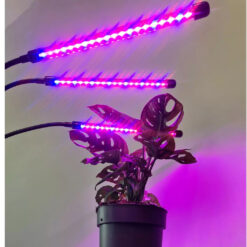 Alternative view of Taimelamp 3 Painduva/Reguleeritava Haruga