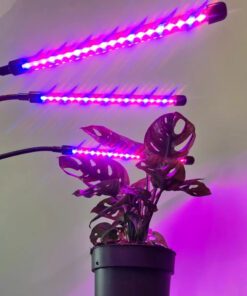 Alternative view of Taimelamp