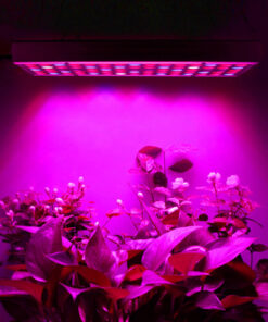 Alternative view of Taimelamp 225led