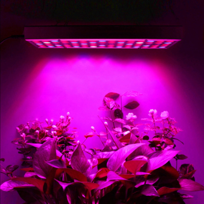 Alternative view of Taimelamp 225led
