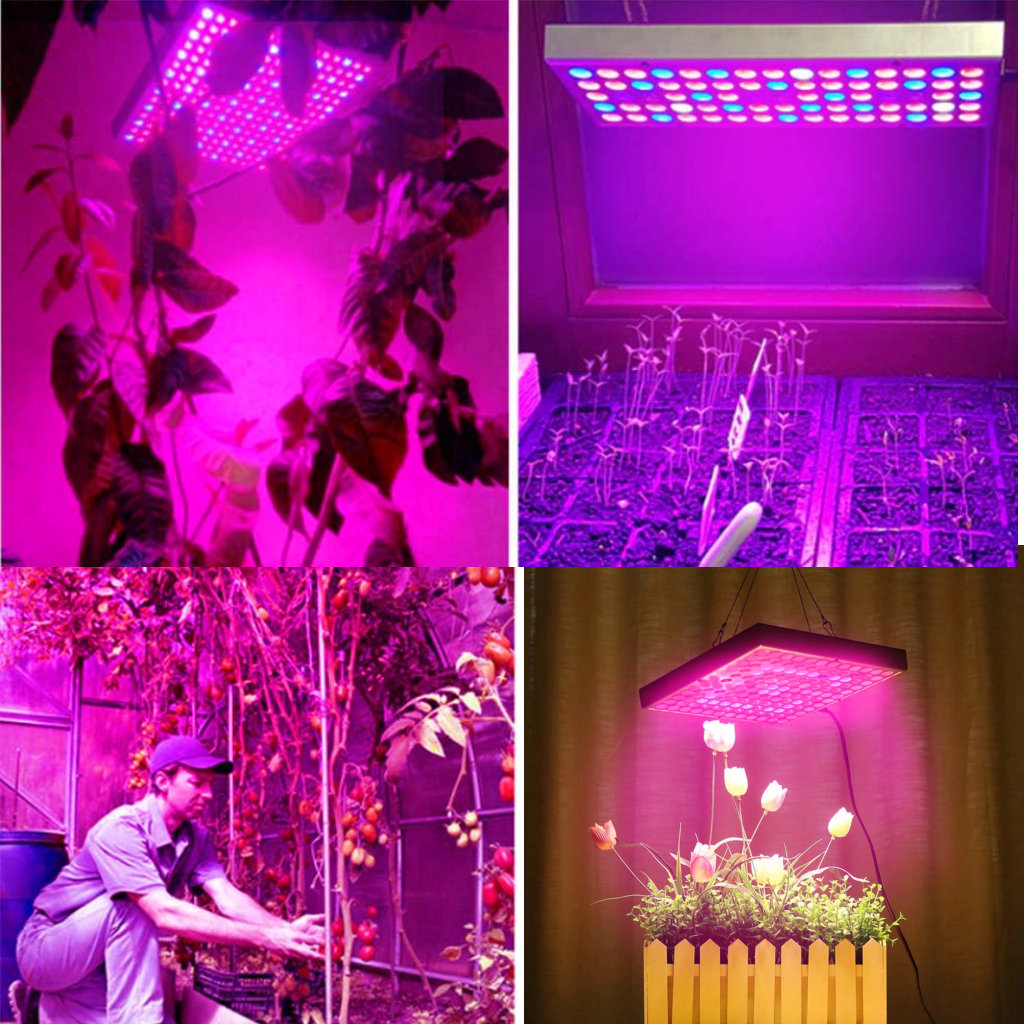 Taimelamp 225led – Soodukas.Com Taimelamp 225led - Image 9