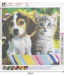 teemanditikand kassi ja koeraga 2