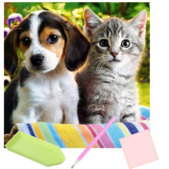 teemanditikand kassi ja koeraga