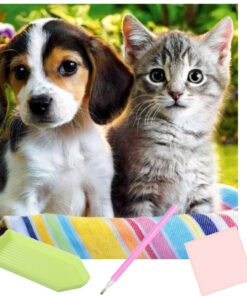 teemanditikand kassi ja koeraga