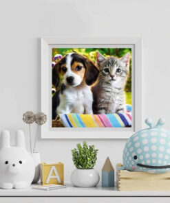 teemanditikand kassi ja koeraga 3