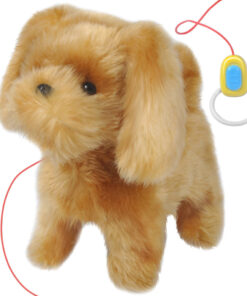 interaktiivne mängukoer