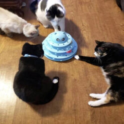 Mänguasi kassidele Soodukas.Com